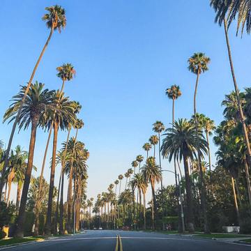 Our Favorite Spots in Los Angeles